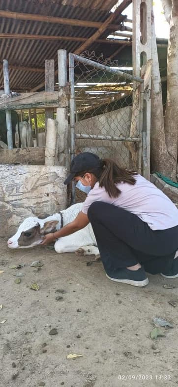 Profile photo of Shilpa, Biology tutor at Wiingy