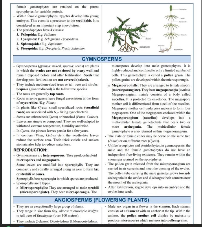 Live performance with Biology by NITHIN