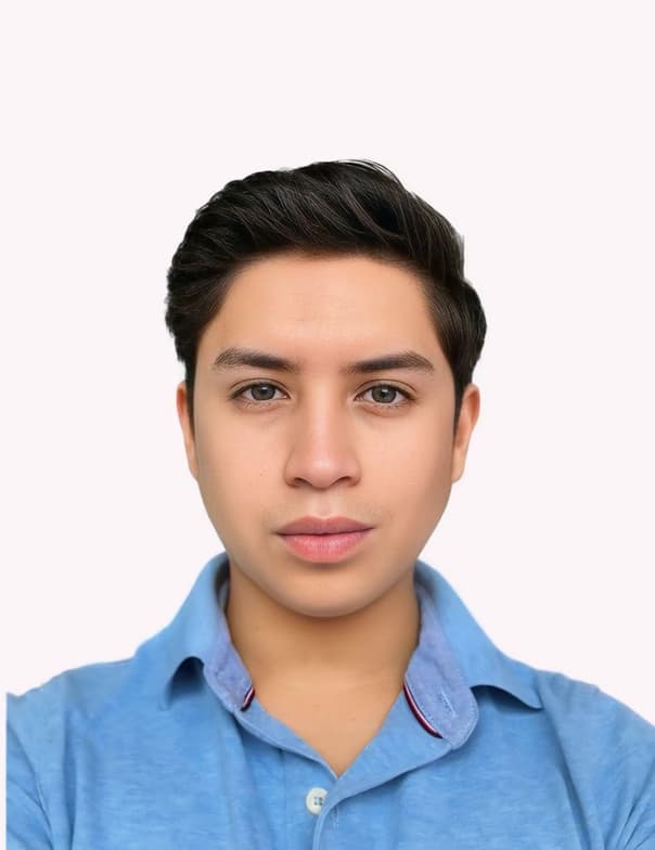 Profile photo of Daniel , Mathematics tutor at Wiingy