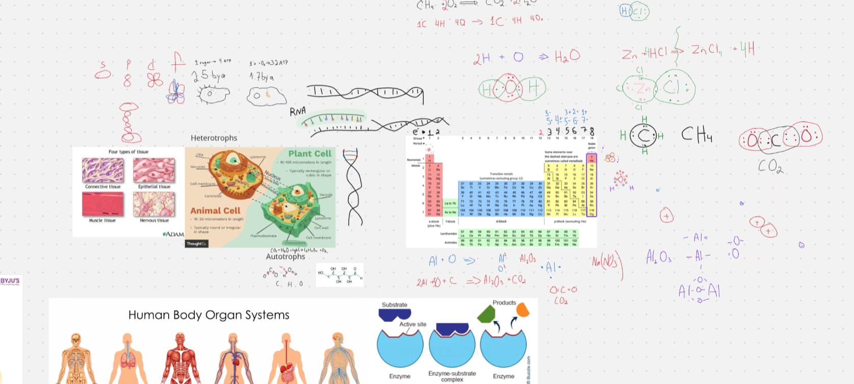 Live performance with Mathematics by Artem