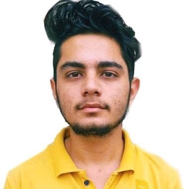 Profile photo of Rishabh, Chemistry tutor at Wiingy