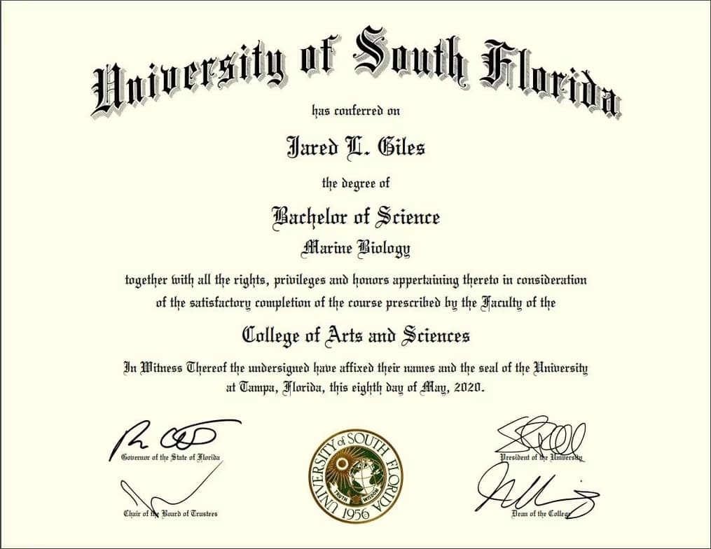 Verified degree or teaching certification of Jared