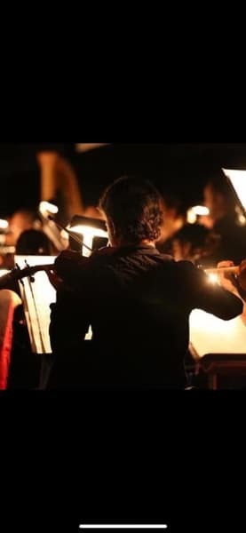 Profile photo of Diego, Violin tutor at Wiingy