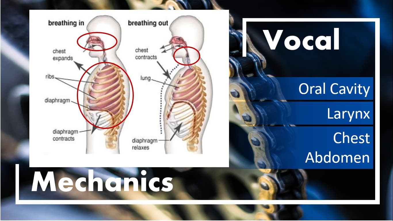 Singing learning materials by Ryan