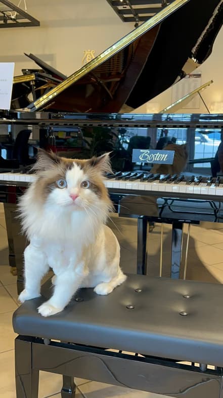 Abbieenjoying a hobby outside teaching