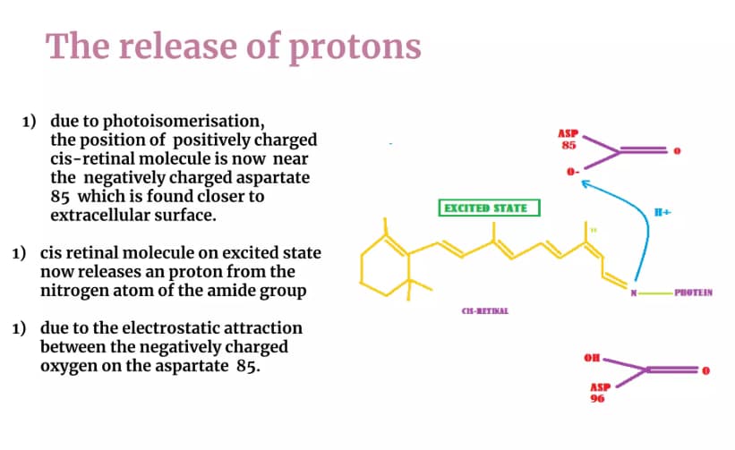 Science learning materials by Shruthi