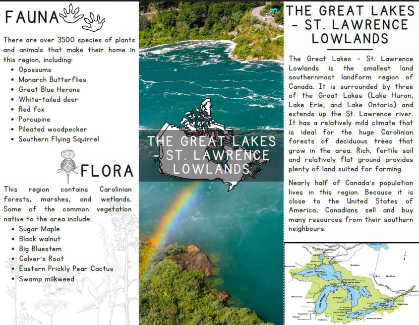 English learning materials by Stefanie