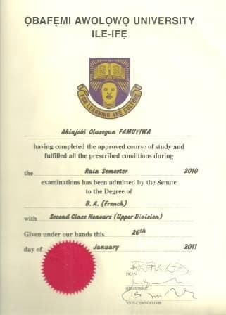 Verified degree or teaching certification of Akinjobi