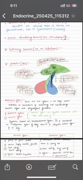 Live performance with Biology by Deepak