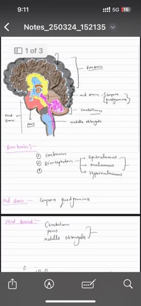 Biology learning materials by Deepak