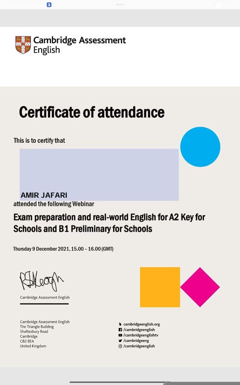 Verified degree or teaching certification of Amir