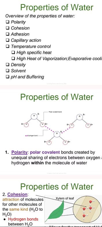 Biology learning materials by Priyanka