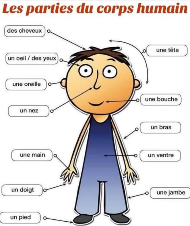 French learning materials by Tassyla