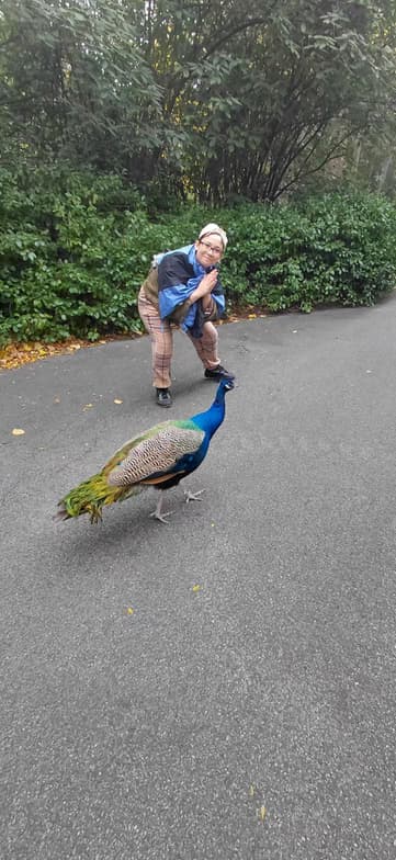 Travel snapshot of Charis during a trip