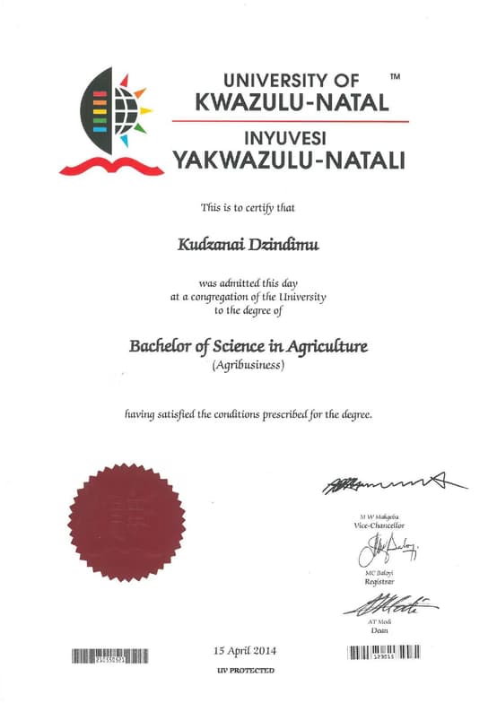 Verified degree or teaching certification of Kudzanai