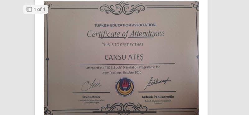 Cansu graduated from Sivas Cumhuriyet University